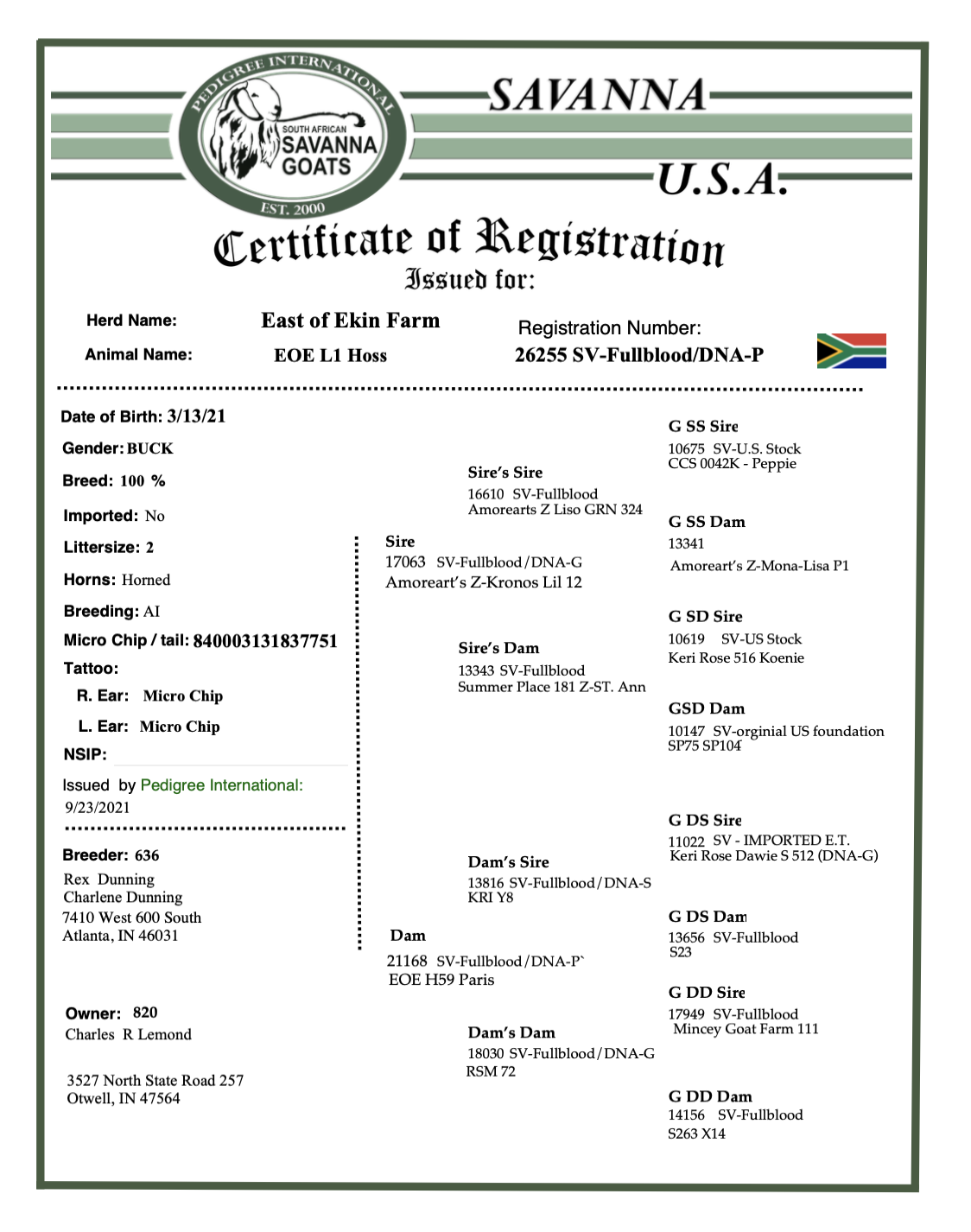 Screenshot 2025-07-07 at 11.17.10 AM